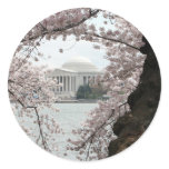 Cherry Blossom Washington DC Round Sticker