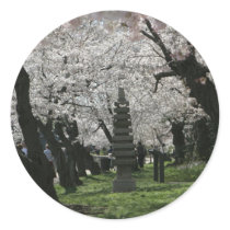 Cherry Blossom Washington DC Round Stickers