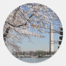 Cherry Blossom Washington DC Sticker