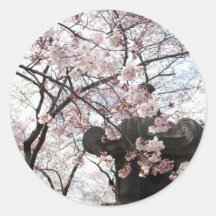 Cherry Blossom Washington DC Stickers