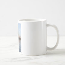 Cherry Blossom Washington monument Mugs