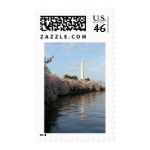 Cherry Blossom Washington monument Postage