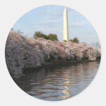 Cherry Blossom Washington monument Round Stickers
