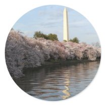 Cherry Blossom Washington monument Round Stickers