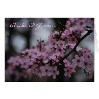 Cherry Blossom Wedding cards