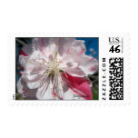 Cherry Blossom Wedding Postage