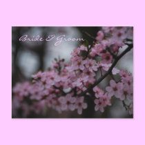 Cherry Blossom Wedding postcards