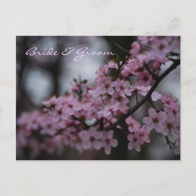 Cherry Blossom Wedding Post Card