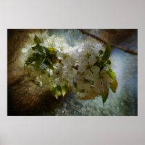 Cherry Blossom Wonder Print
