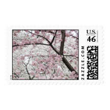 Cherry Blossoms 10 Postage Stamp