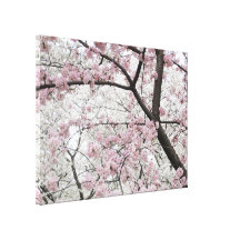 Cherry Blossoms 10 Wrapped Canvas Stretched Canvas Print