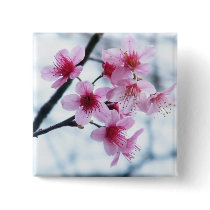 Cherry Blossoms - A Pinback Buttons