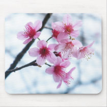 Cherry Blossoms - A mousepads