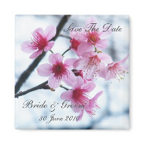 Cherry Blossoms - A  Save The Date magnets
