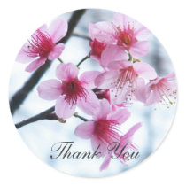 Cherry Blossoms - A stickers
