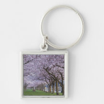 Cherry blossoms along Willamette river, USA Key Chains