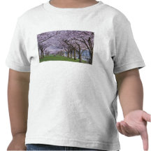 Cherry blossoms along Willamette river, USA T-shirt