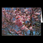Cherry Blossoms and Bee Blank Card