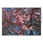 Cherry Blossoms and Bee Blank Card