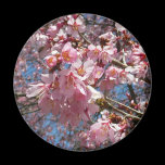 Cherry Blossoms and Bee Magnet