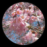 Cherry Blossoms and Bee Sticker