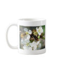 Cherry Blossoms and Bees mugs