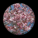 Cherry Blossoms and Blue Sky Magnet