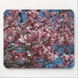 Cherry Blossoms and Blue Sky Mousepad