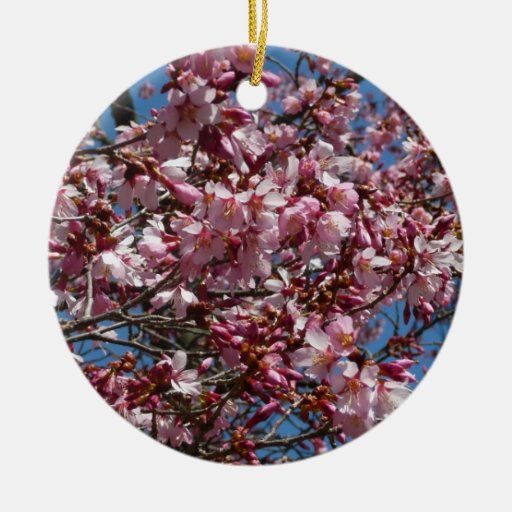 Cherry Blossoms and Blue Sky Ornament