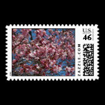 Cherry Blossoms and Blue Sky Postage Stamps