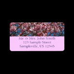 Cherry Blossoms and Blue Sky Return Address Label