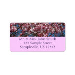 Cherry Blossoms and Blue Sky Return Address Label
