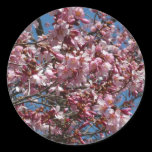 Cherry Blossoms and Blue Sky Sticker