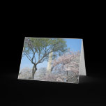 Cherry Blossoms and the Washington Monument Card