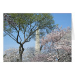 Cherry Blossoms and the Washington Monument Card