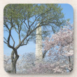 Cherry Blossoms and the Washington Monument Coasters