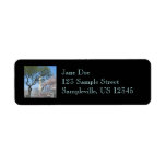 Cherry Blossoms and the Washington Monument Return Custom Return Address Labels