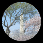 Cherry Blossoms and Washington Monument Sticker