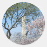 Cherry Blossoms and Washington Monument Sticker