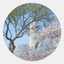 Cherry Blossoms and Washington Monument Sticker