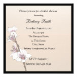 Cherry Blossoms Announcements