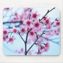 Cherry Blossoms - B mousepads