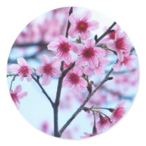 Cherry Blossoms -B stickers