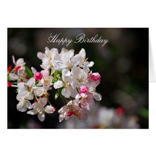 Cherry blossoms birthday card | Zazzle