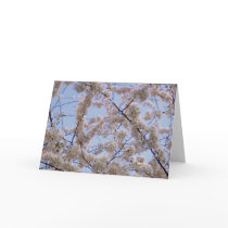 'Cherry Blossoms' Blank Greeting Card