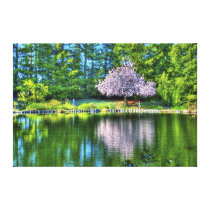 Cherry Blossoms Canvas Print