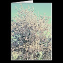 Cherry Blossoms cards by paperpatternsilk Cherry Blossoms cards