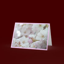 Cherry Blossoms Card White Blossom Card cards
