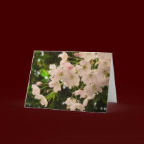 Cherry Blossoms Card White Blossom Card cards