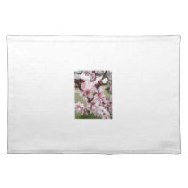 Cherry Blossoms Clusters The Spring Placemats